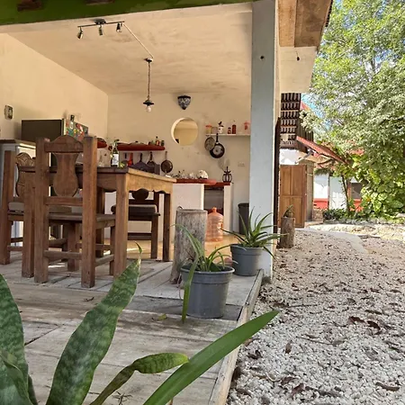 Tree House Tulum-3