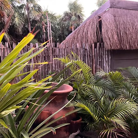 Amana Tulum , Beach Front Hotel-3