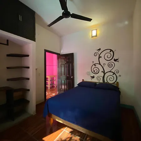 Casa Adoquin-2