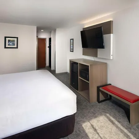 Comfort Inn & Suites Dahlonega University Area-2