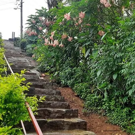 Spinson Home Stay-3