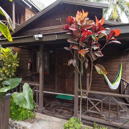 Serendipity Holistic Resort Spa-2