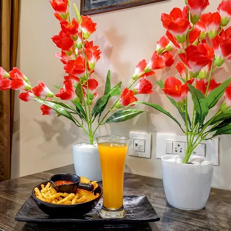 Hotel De Tark A Family Hotel Near Igi Airport Delhi-3