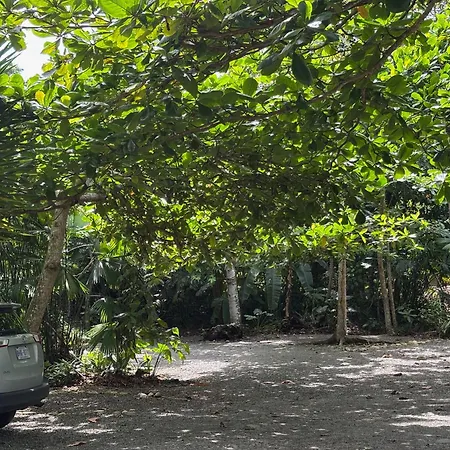 Hotel Suizo Loco Lodge & Resort-2
