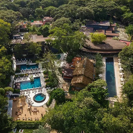 El Mangroove Papagayo, Autograph Collection-2