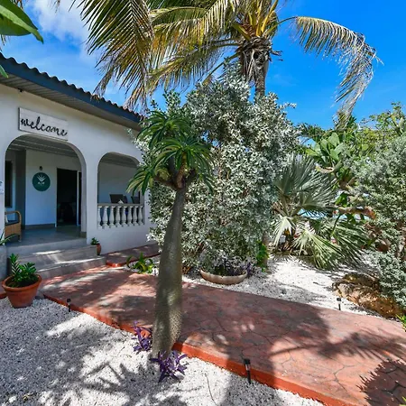 Aloe B&B-2