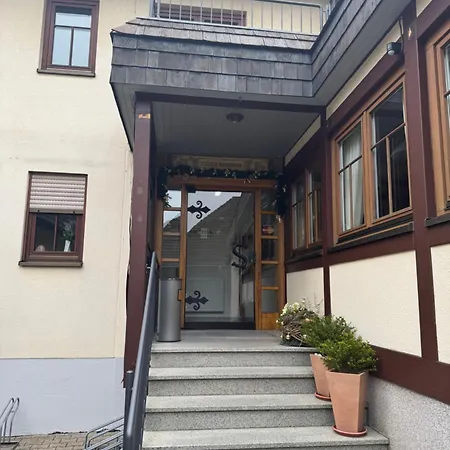 Hotel Grüner Baum-3