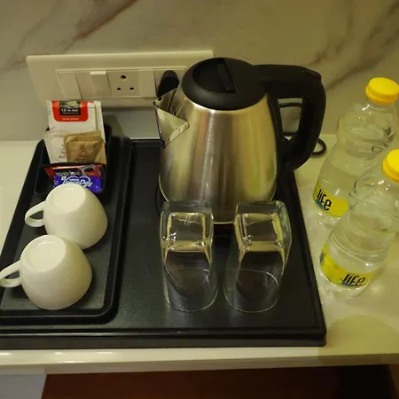 Sree Grand Inn-3