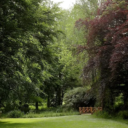 Chelsea Parkfields-2