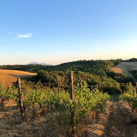 Podere Sole-3