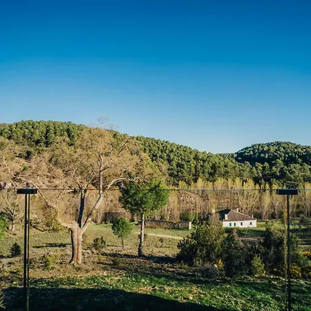 Pachán Dehesa Boyal-2