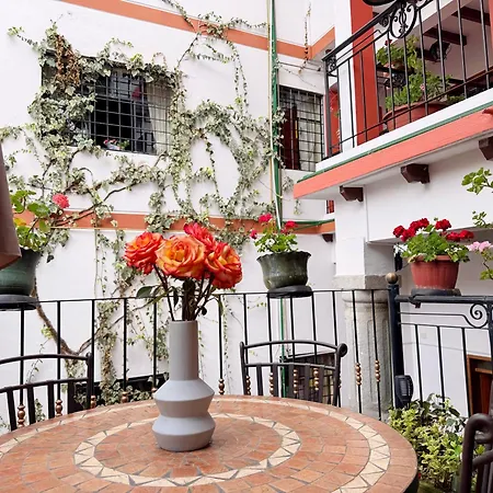 Rincon Familiar Hotel Boutique-3