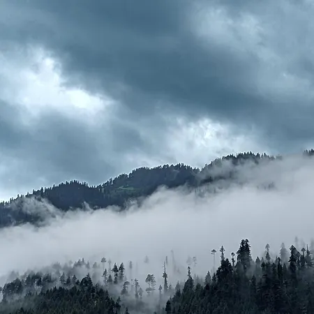 Mudhouse Old Manali-2