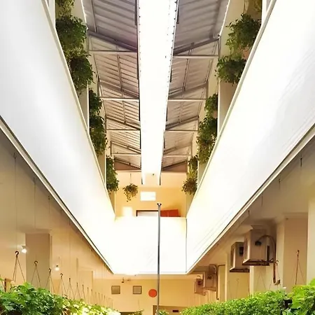Hotel Keprabon Solo-3