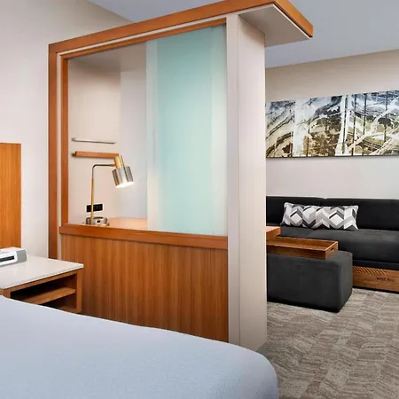 Springhill Suites Potomac Mills Woodbridge-3