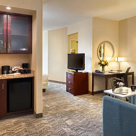 Springhill Suites By Marriott Salt Lake City Downtown-2