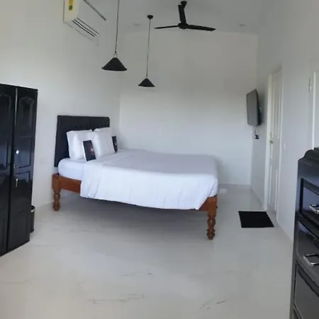 Kadal The Beach House-2