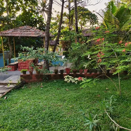 Sandra Eco-2