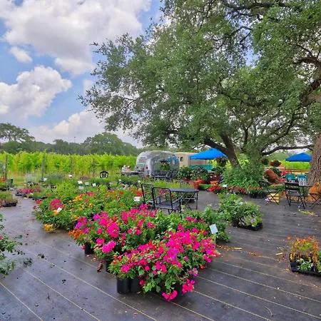 Fall Creek Vineyards Chardonnay Room-3