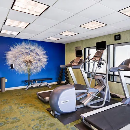 Springhill Suites By Marriott Baltimore BWI Airport-2