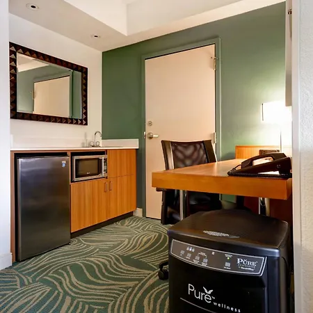 Springhill Suites By Marriott Baltimore BWI Airport-2