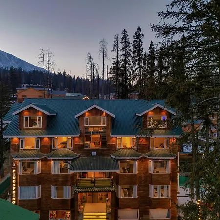 Hotel Pine Spring Gulmarg-2