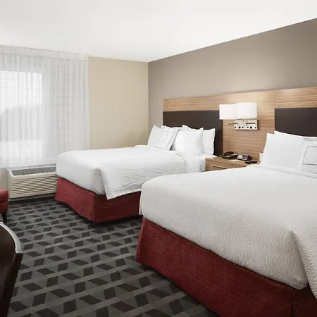 Towneplace Suites By Marriott Tampa South-3