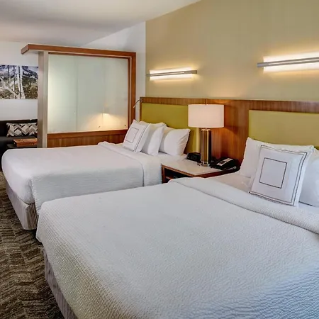 Springhill Suites By Marriott Saginaw-2