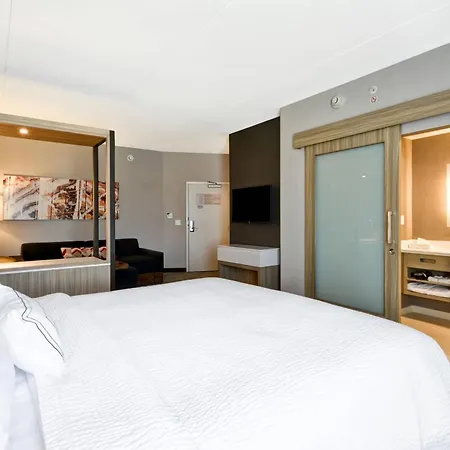 Springhill Suites By Marriott Cincinnati Blue Ash-2