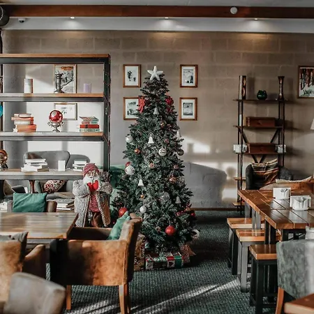 Alpine Lounge Boutique Hotel-3