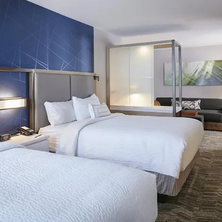 Springhill Suites By Marriott Wixom Novi-2