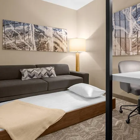 Springhill Suites By Marriott Jackson-2