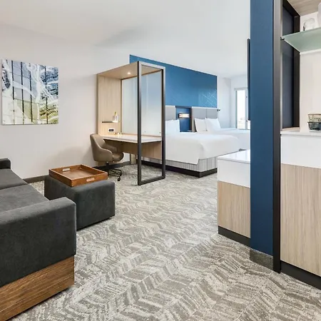 Springhill Suites By Marriott Dallas Mansfield-2