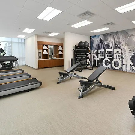 Springhill Suites Dallas Dfw Airport South/Centreport-2