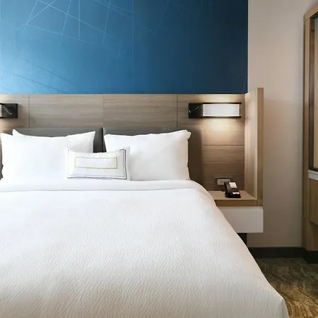 Springhill Suites Dallas Dfw Airport South/Centreport-3