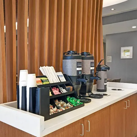 Springhill Suites By Marriott St. Paul Arden Hills-3