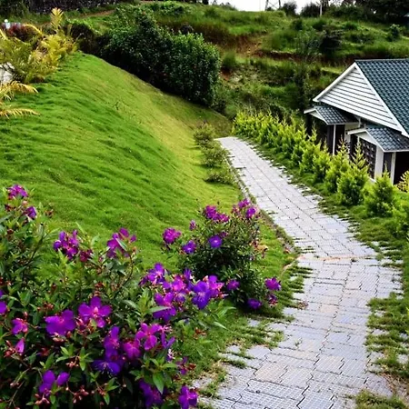 Rainwood Aurum Resort-2