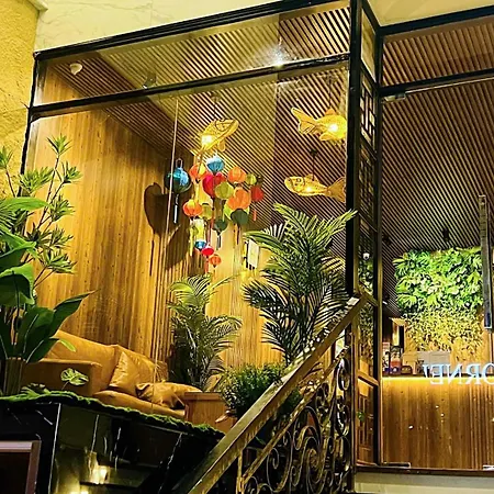 Rosa May Hotel-2