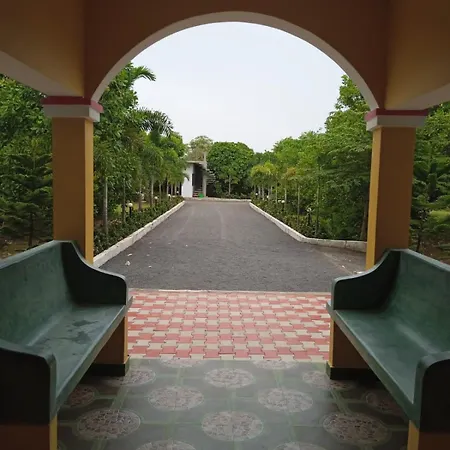 Paradise Forest Resort-2