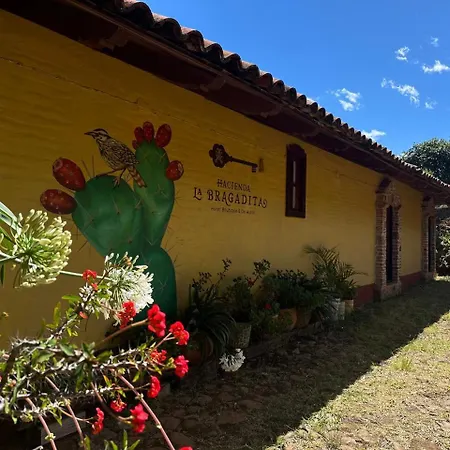 Hacienda La Bragadita Hotel Boutique&De Autor-2