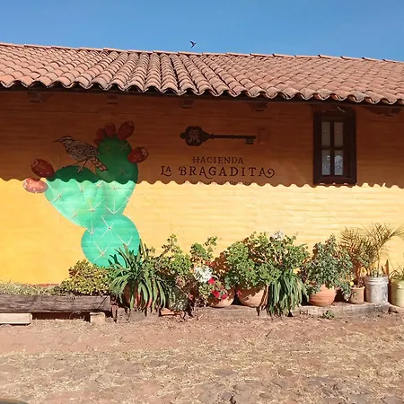 Hacienda La Bragadita Hotel Boutique&De Autor-3