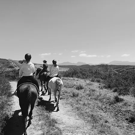 Garden Route Safari Camp-3