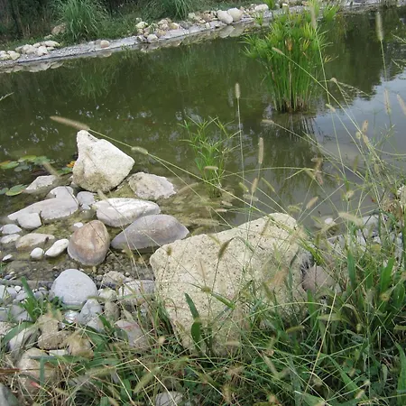 Bastide Des Martelieres-2