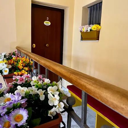 Dama Rooms-2