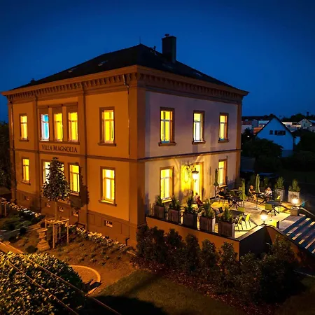 Villa Magnolia Wissembourg-3