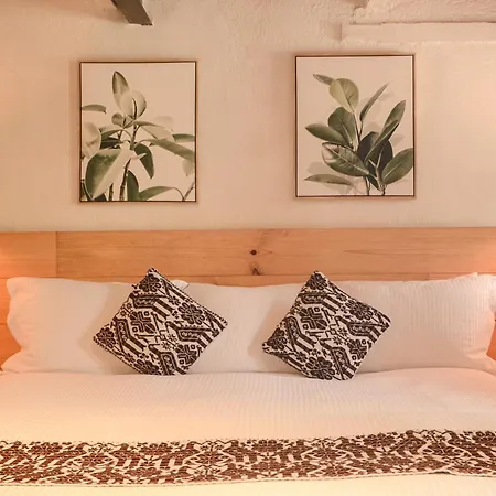 Petit Mesón (Pet Friendly Hotel)-3