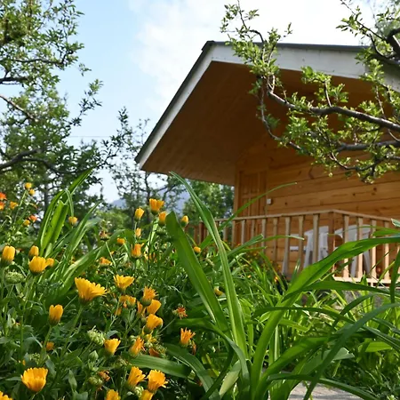 Cascade Mountain Retreat Manali-3