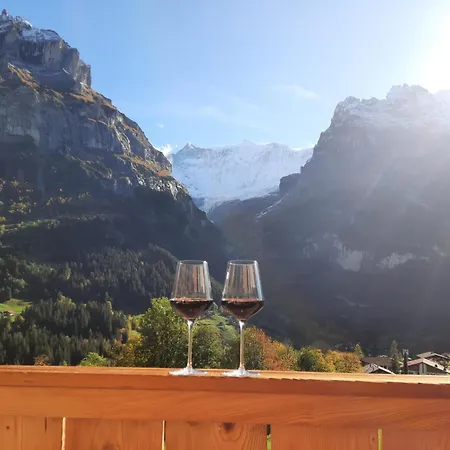 Boutique Hotel Panorama Grindelwald-3
