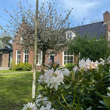 Villa Royale-2