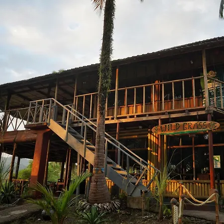 Wild Grass Resort-2